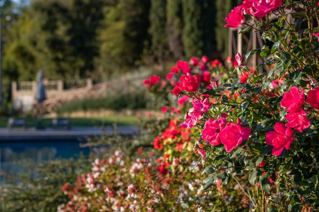 Chimera Tuscany Resort Arezzo Exterior foto